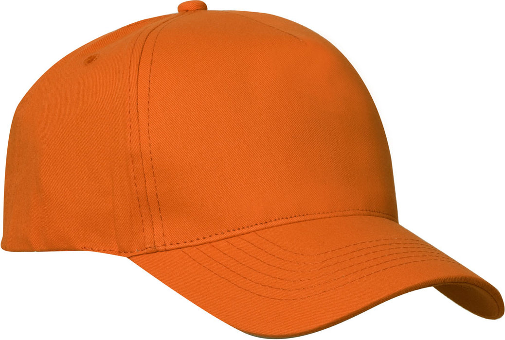 Pet Texas Cap