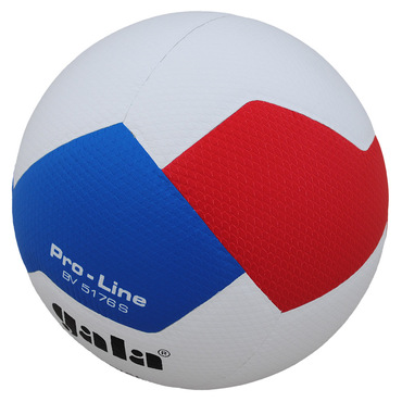 Volleybal Gala Pro-Line 12 5176S